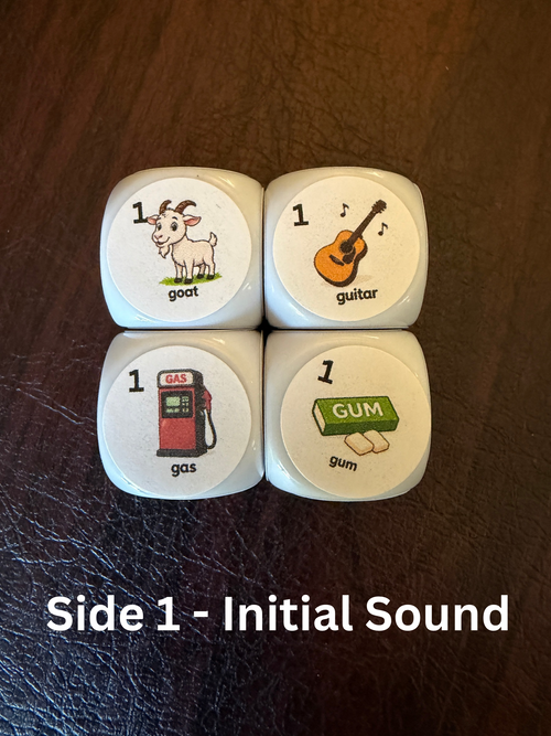 Speech Therapy Articulation Dice Set | SLP Material & Game Resource, 4 Dice, 24 Targets